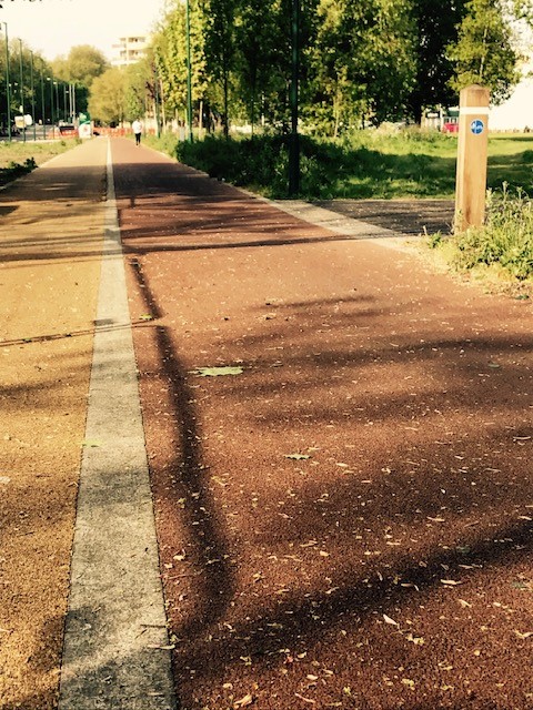 Dedicated cycle lane