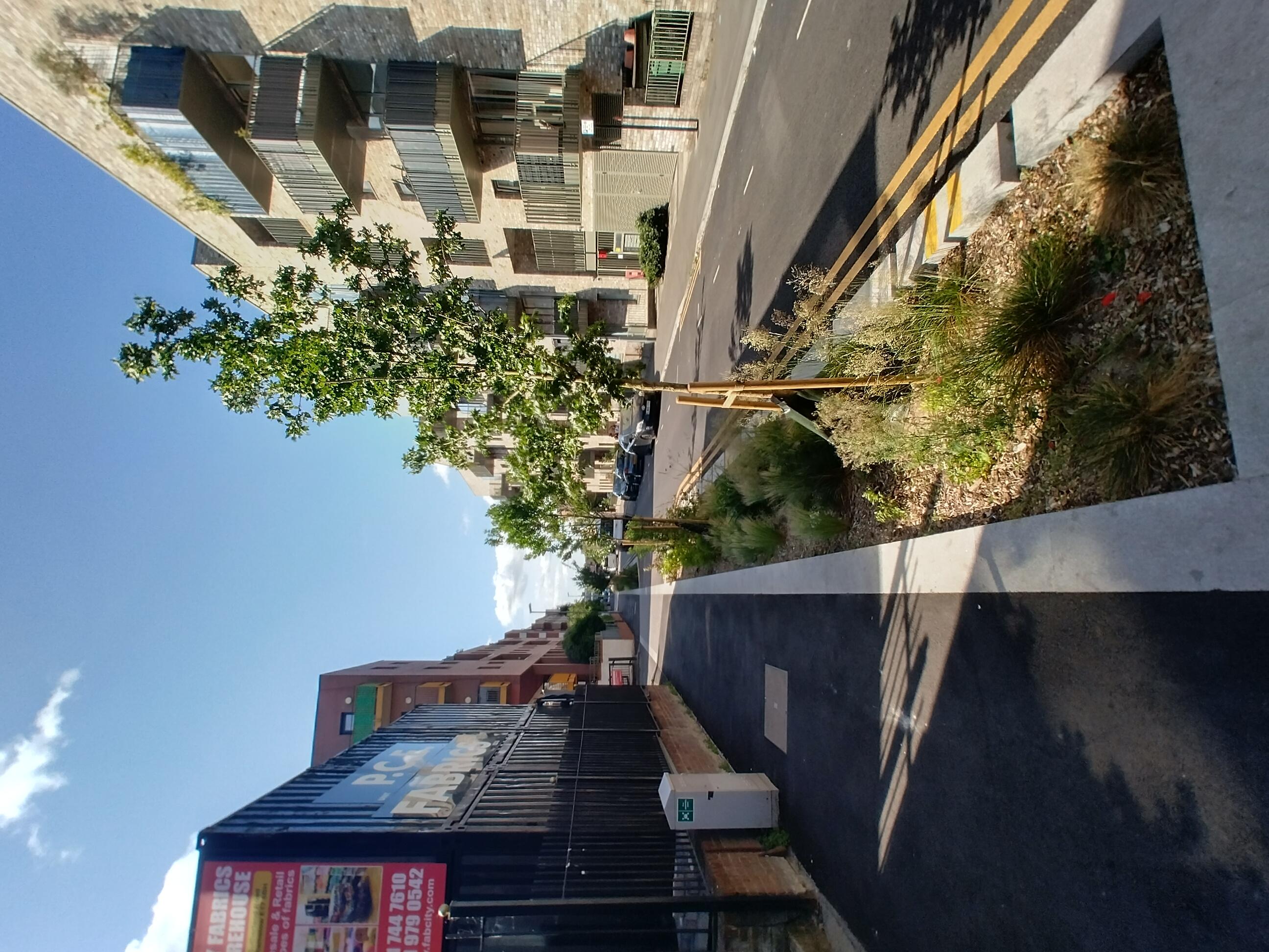 Sutherland Road rain garden and cycle lane