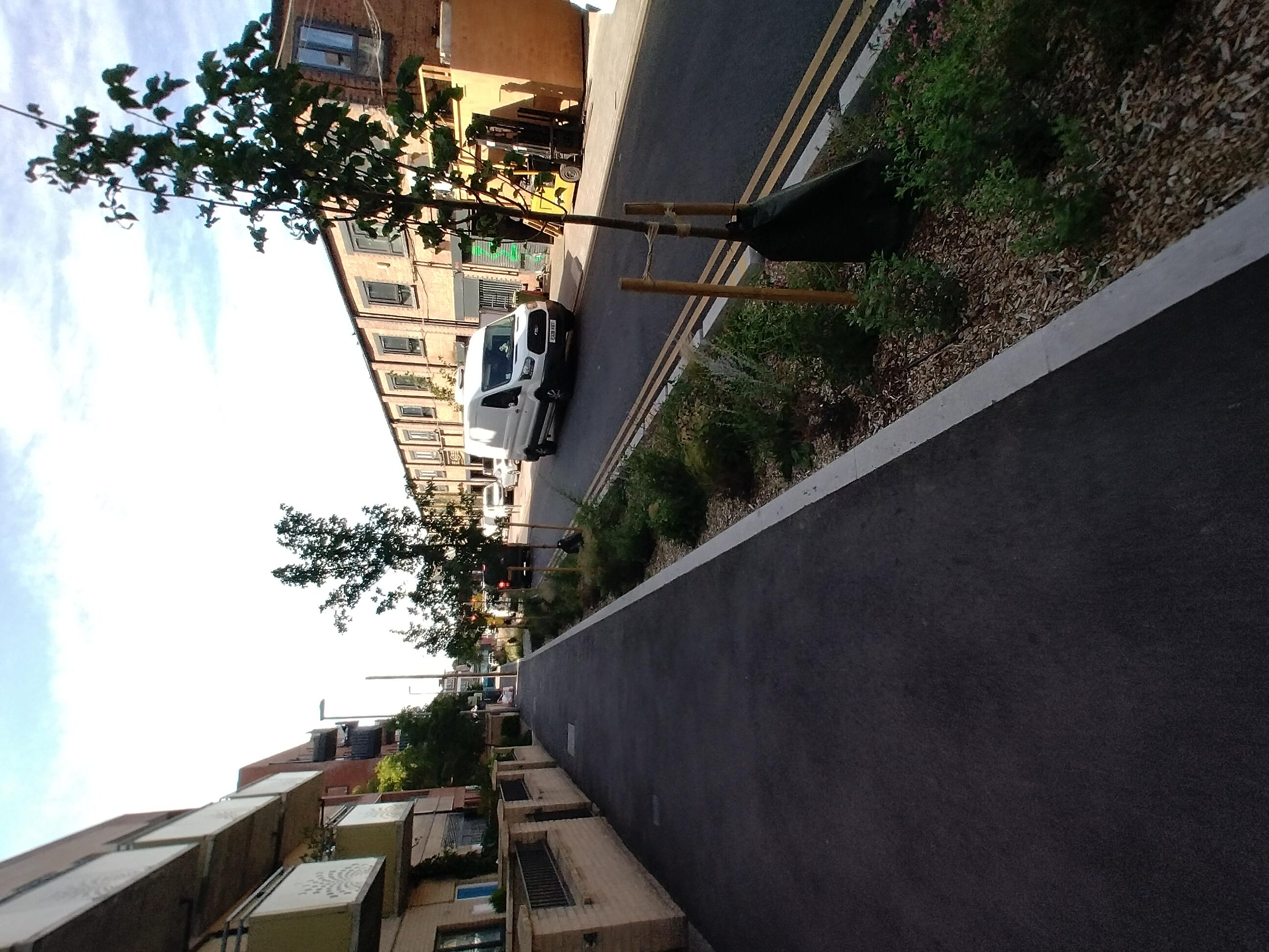 Sutherland Road cycle lane with rain garden